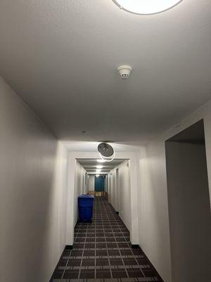 The hallway vacuumed by Onyx