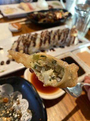 Vegetable Gyoza / Dumplings inside look