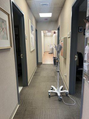 Stephanie Trentacoste McNally, MD