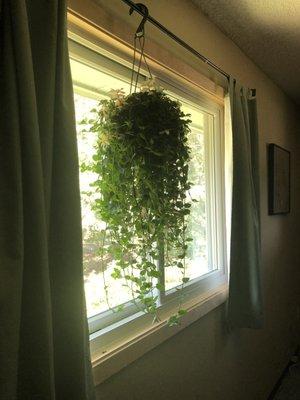 Vanhoff 's Garden Center