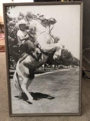 Daniel Peter Jelladian - Realtor