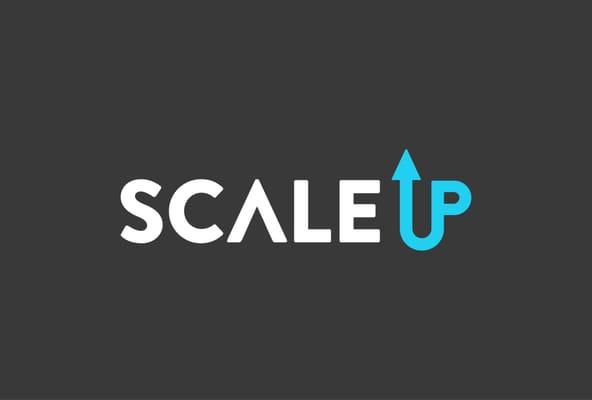 Scale Up Consulting