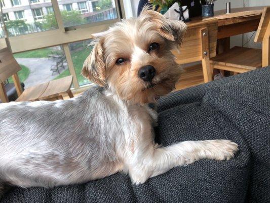 Look at the length of her Jaír and no eyebrows