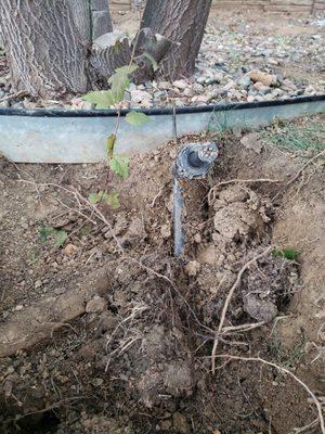 MW Sprinkler and Lawn Care