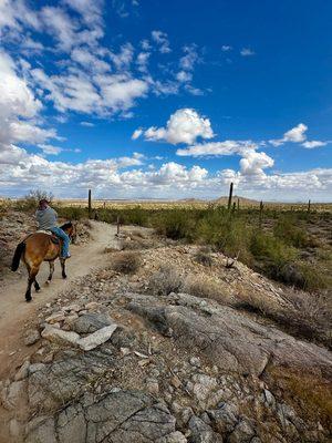 Amazing scenery on the San Tan Regional Park - Stargazer Trail