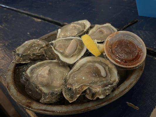 Oysters