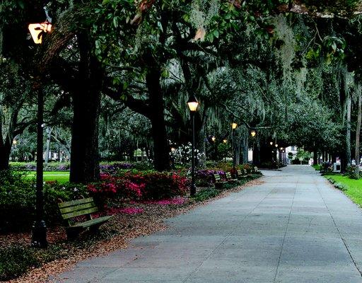 Forsyth Park