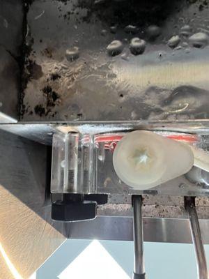 sweetFrog Premium Frozen Yogurt