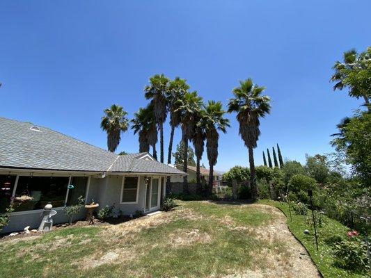 Rosales Tree Care & Landscape Development