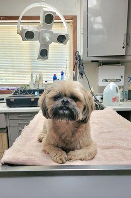 James Bullock, DVM - Bullock Veterinary Hospital