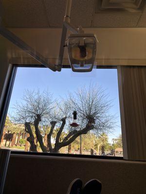 Michael D Seto, DDS & Thomas McGalliard, DDS