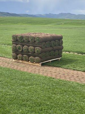Star Valley Sod