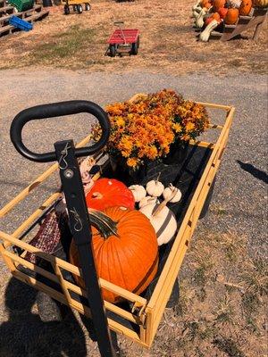 Town & Country Nursery