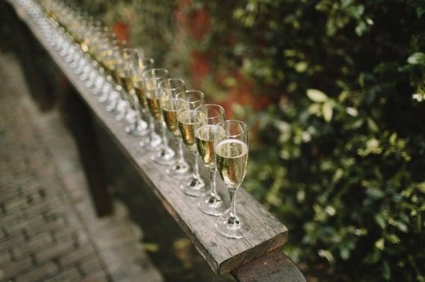 Party Unlimited Rental