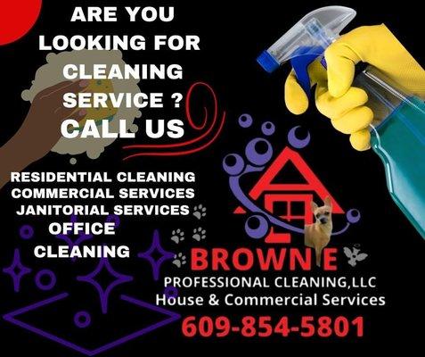 Brownie Professional cleaning