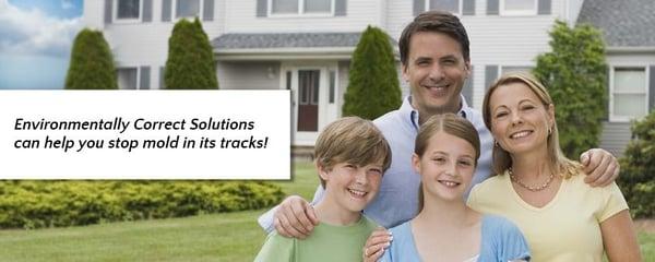 Environmentally Correct Solutions