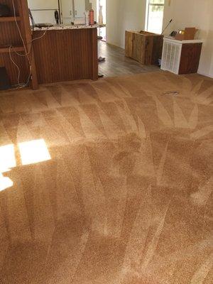 Absolutely Kleen Carpet & Upholstery Specialist