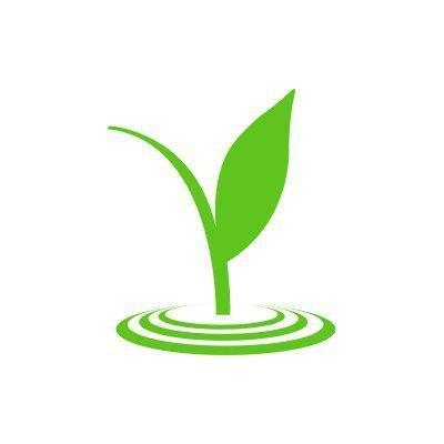 Picasso - Flint Ucen Cafe