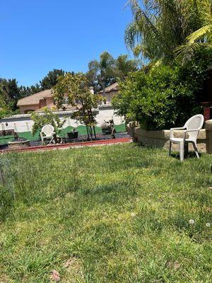 Rangel & Associates Landscaping