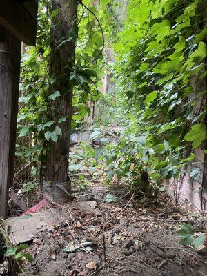 Trash and Treasures