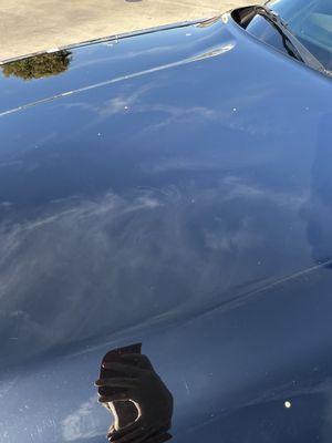 Hawthorne Shell Gas Station