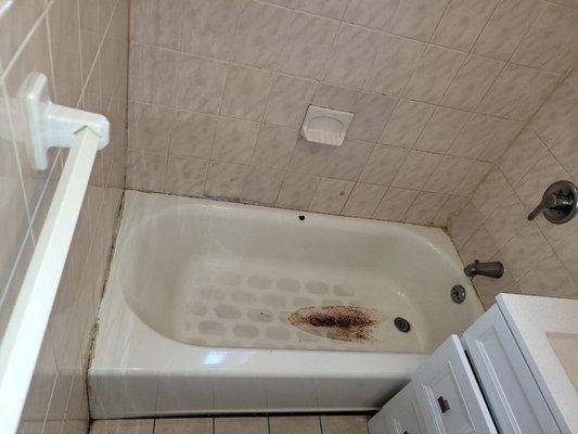 Bathroom Renovation 1