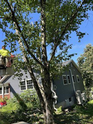 Connors Property Care