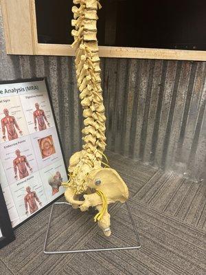 Boehr Chiropractic Clinic