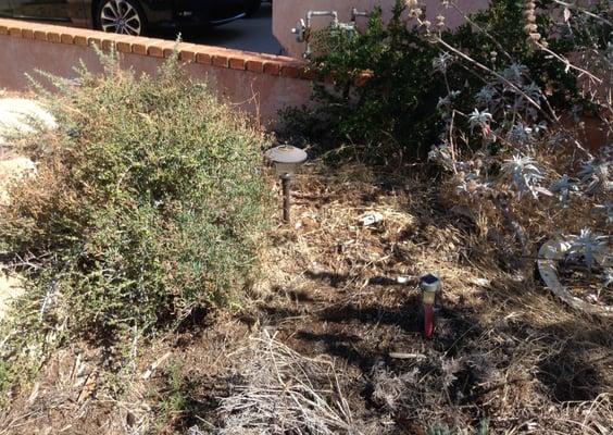 Cortez Lawn Maintenance