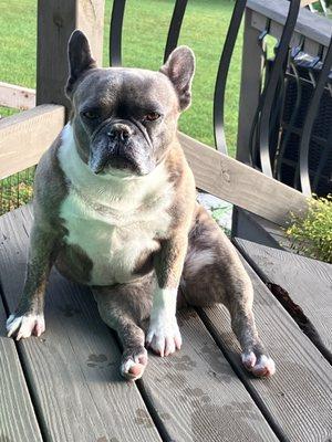 Tillie Lake Veterinary Clinic