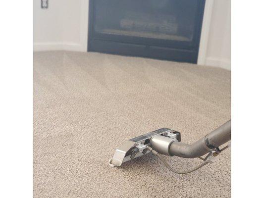 Carpet Cleaning Ypsilanti