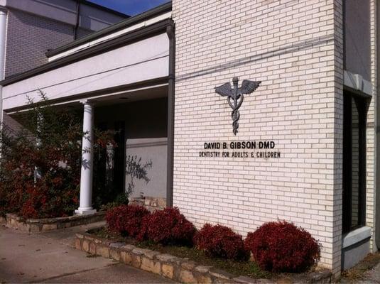 David Gibson, DDS