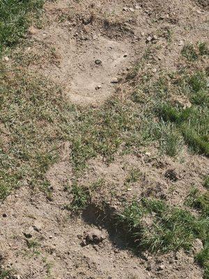 Lathrop M Septic Service