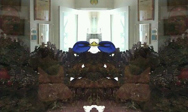 Del Valle Jesus E DDS PA