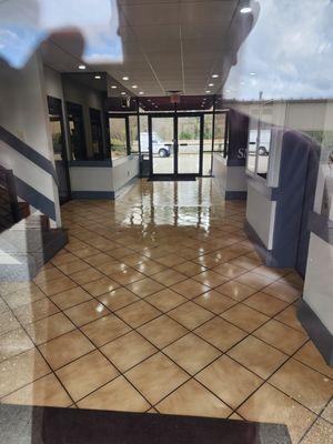 Sandra House Cleaning