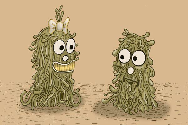 Happy Awesome Studios