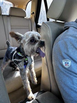 What an impressive place and staff even my Handsome came out smiling I definitely suggest!