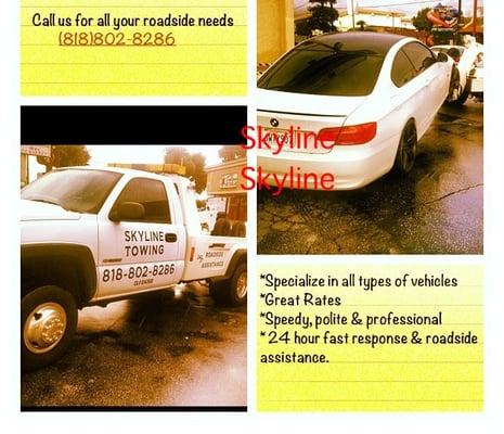 Skyline Towing