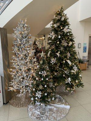 Flagler county tax collector