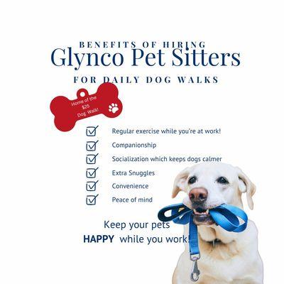 Glynco Pet Sitters