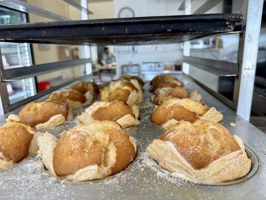 Cakes and fresh bread