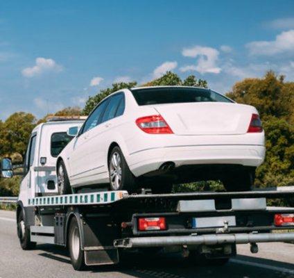 Davis Dependable Transport