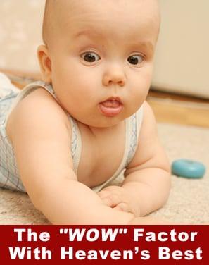 Heaven's Best Carpet Cleaning - Fontana