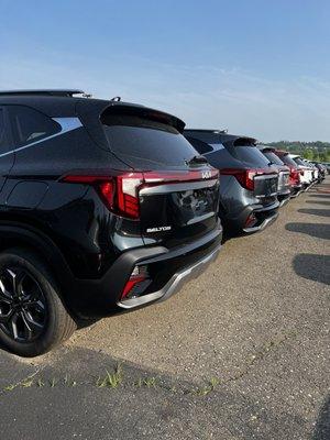 Matthews Kia