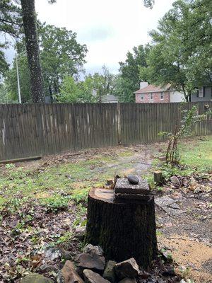 Millers Tree Service