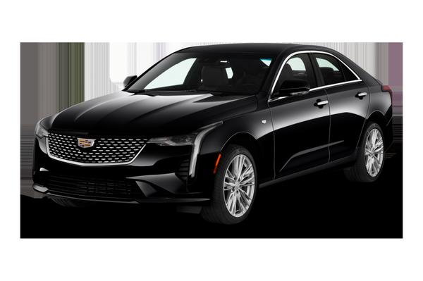 Gavin Transportation