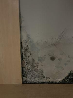 Meridian Park Apartments