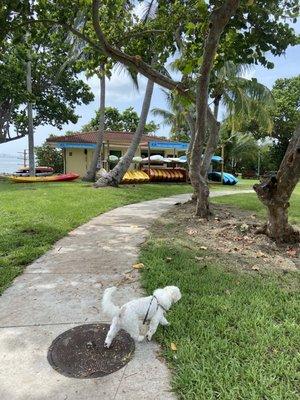 Morningside Watersports