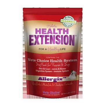 Health Extension