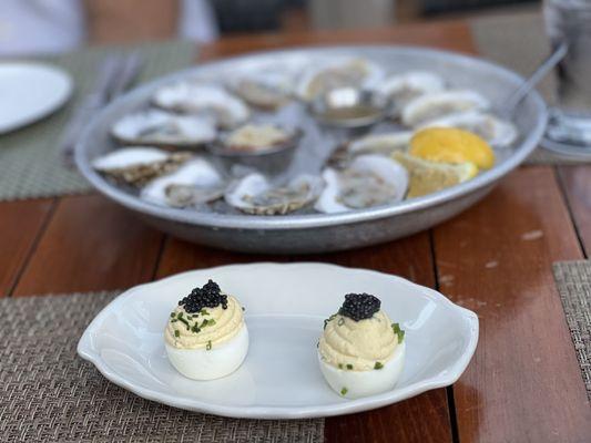 The River Oyster Bar